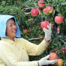 아영면 오산마을 이미지