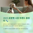 나나비펫 | 2025 로봇펫 시장 트렌드 총정리