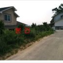 양촌리.동양촌 이미지