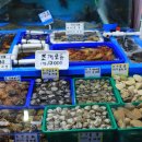 수산물회센터1,2층 이미지