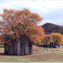 10/30 인천대공원,소래포구 일정 이미지