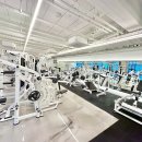 프로짐피트니스 이미지