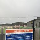 리틀애견 | [리틀포레스트] 군산 애견카페/애견운동장 방문 후기🐶