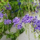 우정경로당 이미지