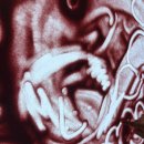 코레일오류동어린이집 이미지