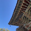 전북재활사 | 첫 템플스테이 휴식형 템플스테이 송광사 (버스시간표 가는법, 신청방법)