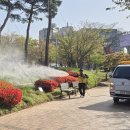 합동방역
