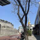 씨유 낙산공원점 이미지