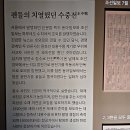 강우량측정 | 서울역사박물관, 미증유(未曾有)의 대홍수: 1925년 을축년, 기획전