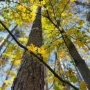 백용기농장 이미지