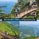 문강유황온천원탕사우나