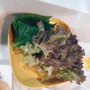 제주올레근고기 | [울산 남구 신정동 돼지고기 오마카세 맛집] 제주올레근고기 후기