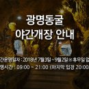 광명동굴 공룡체험전 이미지