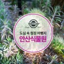 힐링솔가 이미지