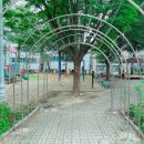 쌍촌동 오월어린이 공원 이미지