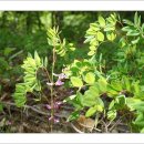 김주신선생묘 이미지