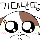 대전어울림유치원 이미지