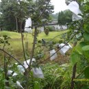 준선농장 이미지