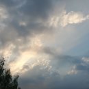 파주삼릉점 이미지