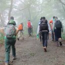 숲향기 목공방 | 7월 6일(토) 136번째 행발모는 가평 잣향기푸른숲과 호명호수로 다녀왔어요.