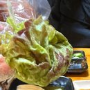 원조할머니왕족발 이미지