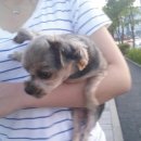 힐스타동물병원 이미지