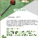 평택안성 용인 동탄 오산 천안 파크골프지도자 자격과정 /강사 양성과정/ 파크 골프의 &#39;메카&#39; 평택에서...