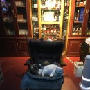 안녕하세요 | 대구 교동 맛집 추천 | 분위기 좋은 혼술바 안녕하세요 솔직후기