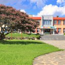 유등초등학교 이미지