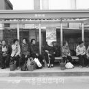 장터이야기 이미지