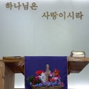 3월17일 히야신스,제라늄,후리지아등으로 이미지