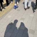 반월호수둘레길 화장실 이미지