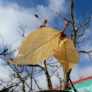 노안초등학교 이미지