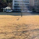 치즈약국 이미지