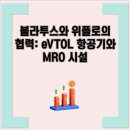 볼라투스 - 송파구 백제고분로7길 8-16 | 볼라투스