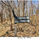 동문장어 이미지