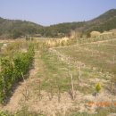 사곡농장 이미지