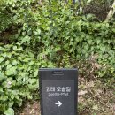 미루나무 강천섬, 영릉 왕의 숲길, 여백서원 괴테의 길과 영월루(24.07.27) 이미지