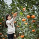 규리 농장 이미지