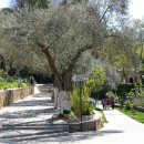 마리아의 집 이미지