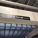 에바다호스텔 | 2박 3일 제주도 여행 첫째날[청주공항/제주도공항/이호테우해변/제주 에바다호스텔]