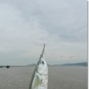 마시안해수욕장 티스토리