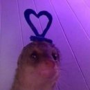 예림노래방 Daum카페
