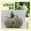 삼영 농장 이미지