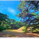 배동삼릉 이미지