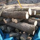 계룡농장 이미지