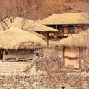 국도5호선 가로수길(봉양) | 감성 가득 가을 기차 여행, 한국 여행지 추천