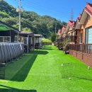 헬퍼독 애견펜션 이미지