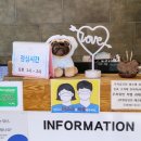메디펫우리동물병원 네이버블로그