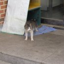 면천보건지소 이미지